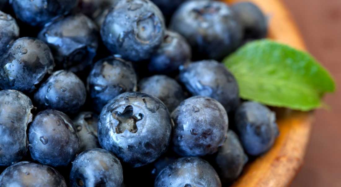 Beautiful photo of antioxidant rich blueberries