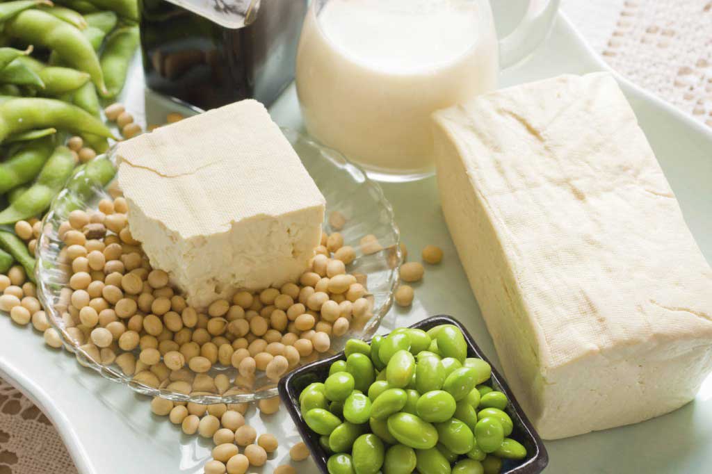 Beautiful picture of various soy foods