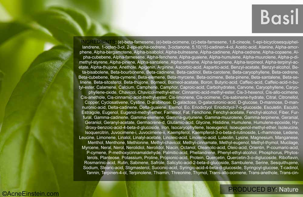 Chemicals in basil